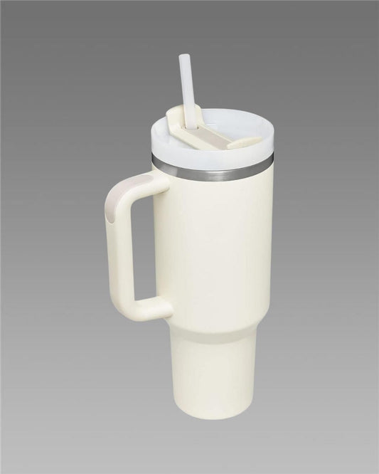Aesthetic Stainless steel Tumbler